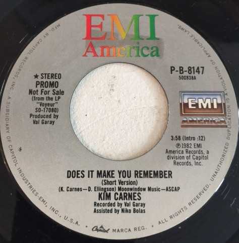  Kim Carnes -- Does It Make You Remember/ Take It On The Chin, 1982 (M) 45 rpm record with factory sleeve, $6.00 - Click for bigger image and more info 