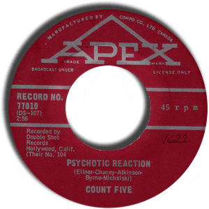 Psychotic Reaction/ They're Gonna Get You