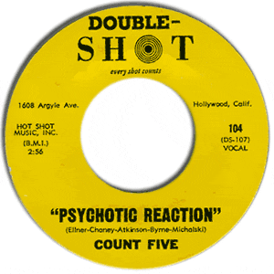 Psychotic Reaction/ They're Gonna Get You
