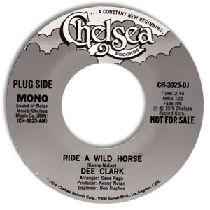 Ride A Wild Horse