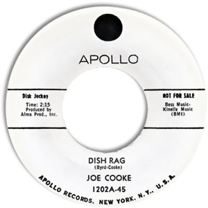 Dish Rag/ Are You For Real